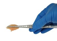 Picture of EMS Imprinted Forceps, 8" (203.2mm)
