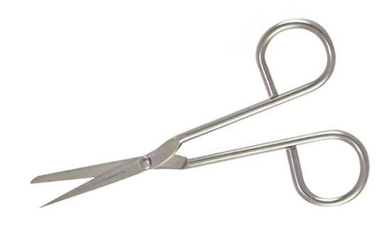 Picture of EMS Disposable Scissors, 4½" (114.3mm) Straight Sharp/Sharp
