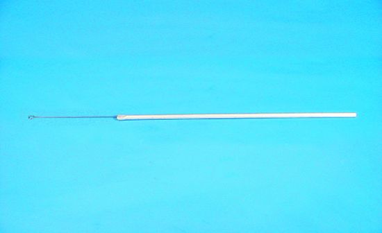 Picture of Inoculating Loop