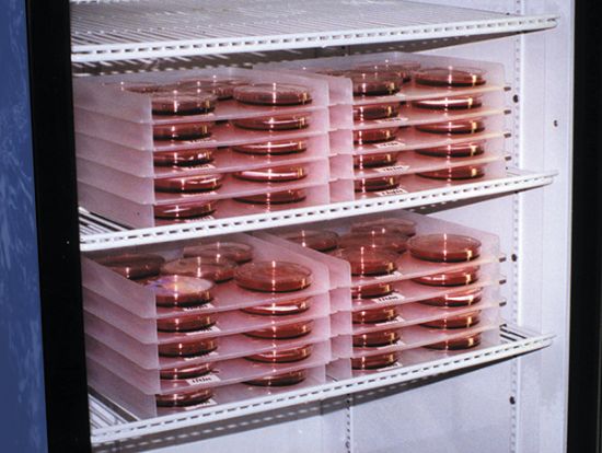 Picture of Petri Dish Incubation Tray