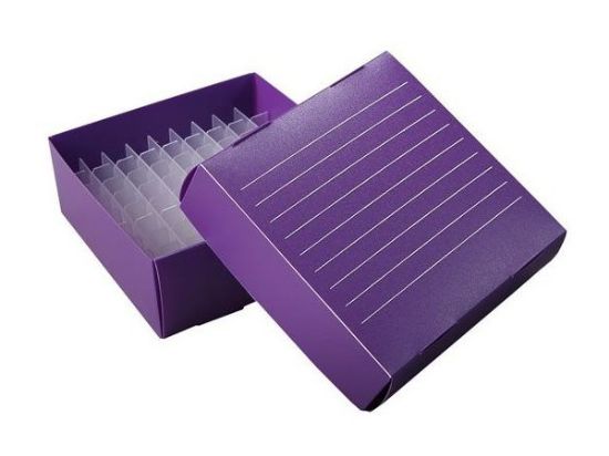 Picture of True North Thin Polypropylene Freezer Box, Purple