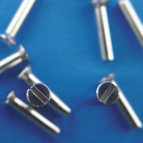 Picture of Cryo Specimen Pins; Slotted Scres