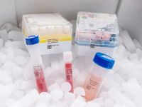 Transparent cryogenic labels