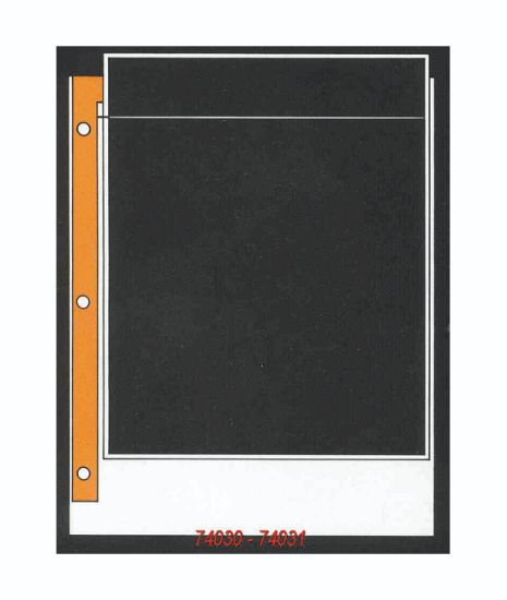 Picture of Poly-View For 8X10" Films