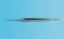 Picture of Micro Dissecting Forceps