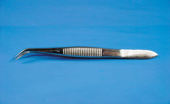 Picture of Stainless Steel Forceps - Serrated Tips
