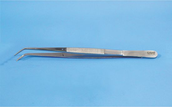 Picture of Jaw Forceps
