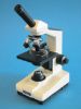 Picture of Education Microscopes