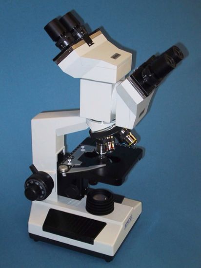 Picture of Upright Compound Microscope with Dual View Body