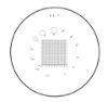 Picture of Scale #7 For 7X Magnifiers