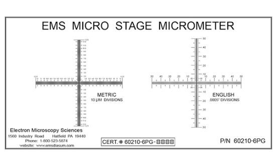Picture of Stage Micrometer, Sm-6 With Calibration