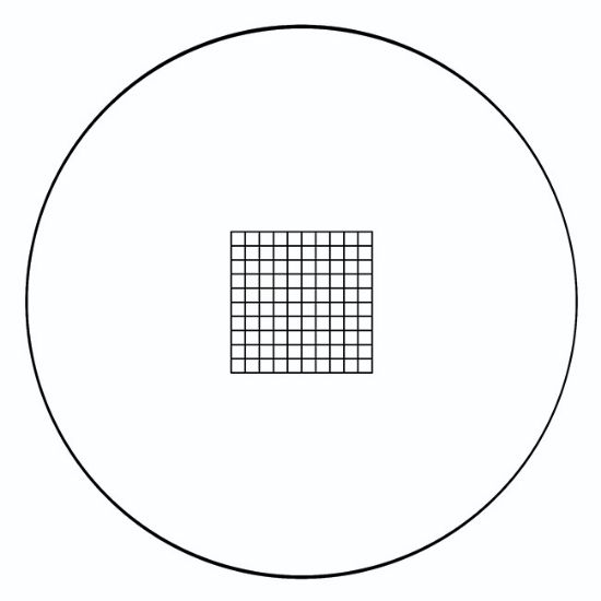 Picture of RET 73, Grid 10 mm X 10 mm X 1 mm, 19 mm Dia