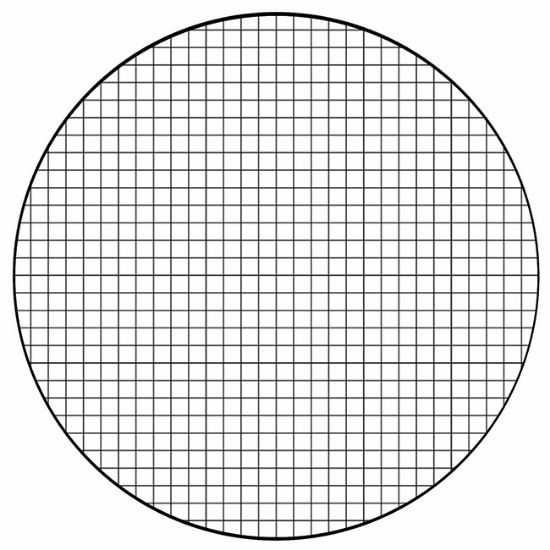 Picture of NE10 Squared Grid Graticule, 16mm