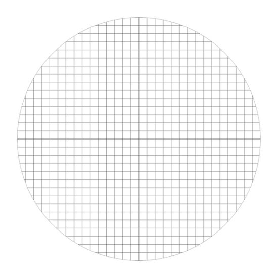 Picture of NE11 Squared Grid Graticule