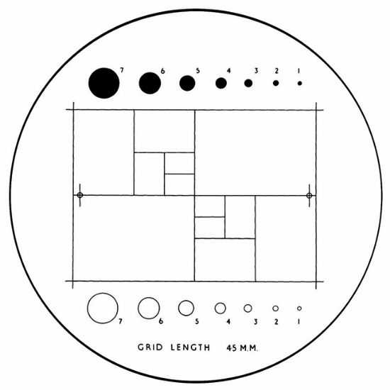 Picture of NG10 British Standard Graticule, 21mm