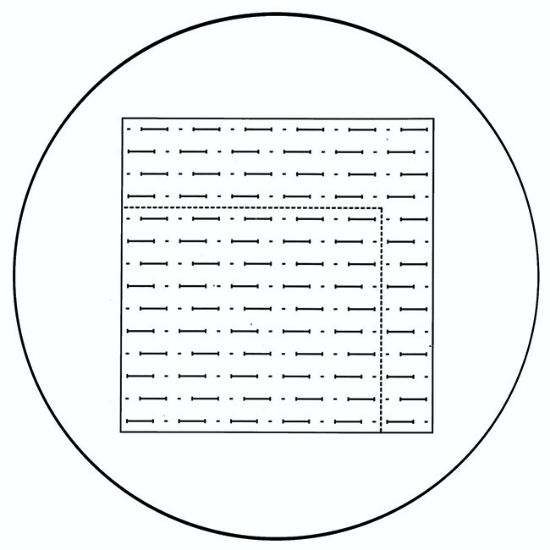 Picture of NGW3 Weibel 3 Graticule, 19mm