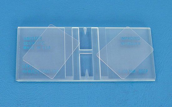 Picture of Etched Chamber With Two Cover Glasses