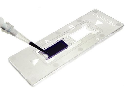 Picture of C-Chip Disposable Hemacytometer Burker Turk
