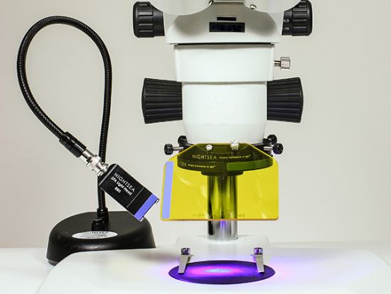 Picture of NIGHTSEA Full System With Green, Dim Lamp Base