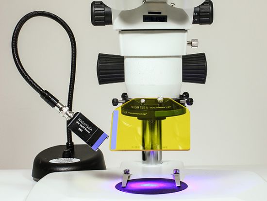 Picture of NIGHTSEA Full System With Royal Blue, Pulse Lamp Base