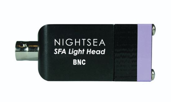 Picture of NIGHTSEA Light Head, Violet