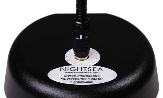 Picture of NIGHTSEA DIM Option