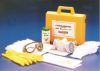 Picture of Formaldehyde Spill Response™ Kit