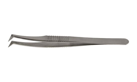Picture of Style 6SP, Serrated