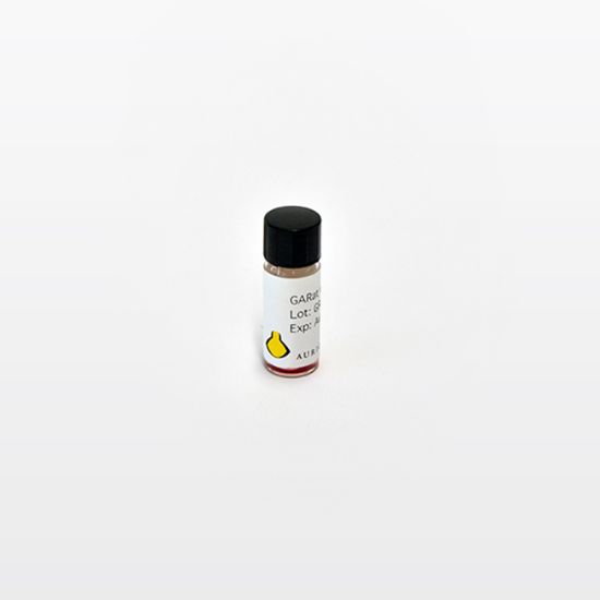 Picture of EM Goat/Rat IgG, 10 nm
