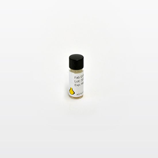 Picture of F(Ab) Goat/Mouse, Ultra Small