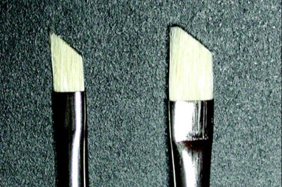 Picture of Frozen Section Brushes
