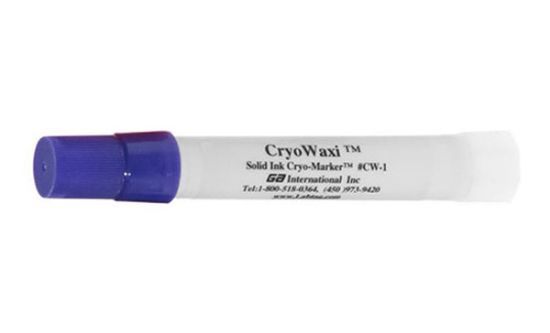 Picture of Big-Tip Cryo Marker, Purple