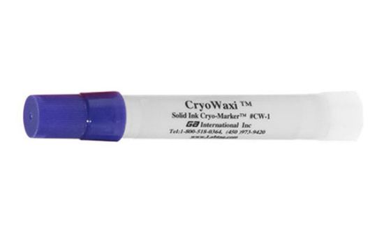 Picture of Big-Tip Cryo Marker, Purple