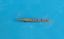 Picture of Rubis Tweezer Model 4G