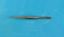 Picture of Rubis Tweezers Model 232