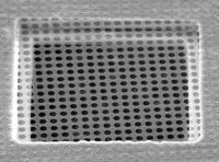 Picture of Quantifoil® R 0.6/1, 200 Mesh, Au