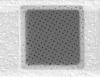 Picture of Quantifoil® R 1/2, 200 Mesh, Cu