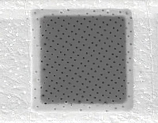 Picture of Quantifoil® R 1/2, 200 Mesh, Cu
