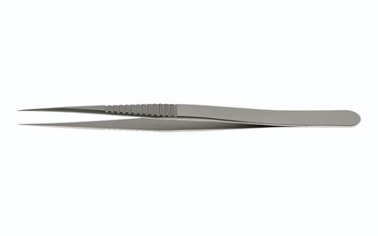 Picture of Dumont Style 3 Dumoxel (0203-3-PO)