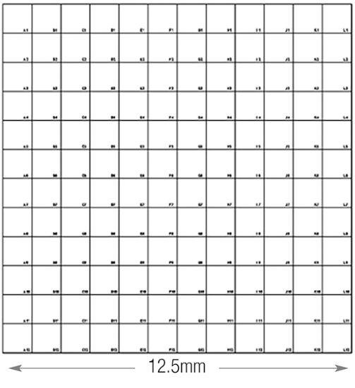 Picture of Low Magnification Finder Grid Substrate