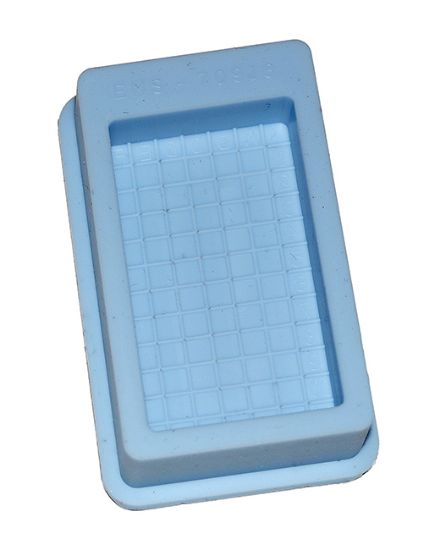 Picture of EMS Index Finder Mold, Blue Silicone