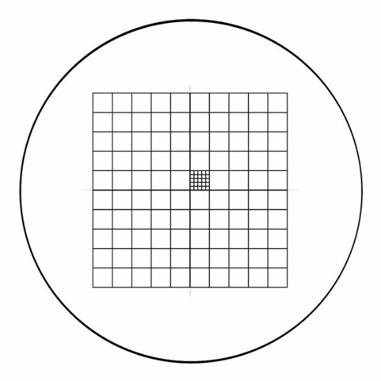 Picture of Whipple Grid Graticule
