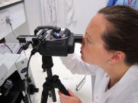 Picture of Em1 1000 Portable Microscope