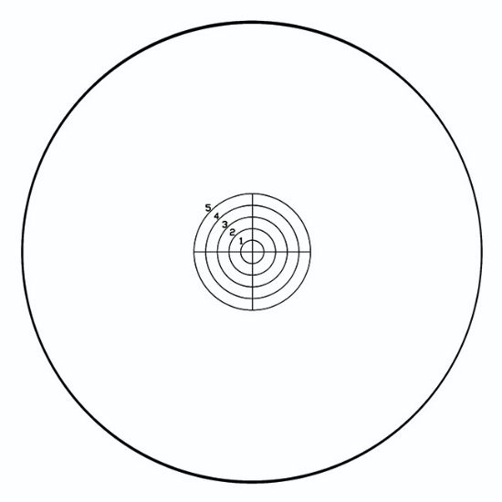Picture of Concentric Circles with Crosshairs
