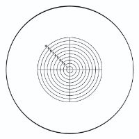 Picture of Concentric Circles with Crosshairs