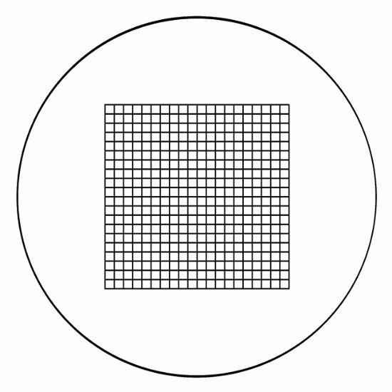 Picture of Simple Grid Scales