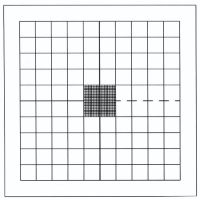 Picture of PGR100 Calibration Grid