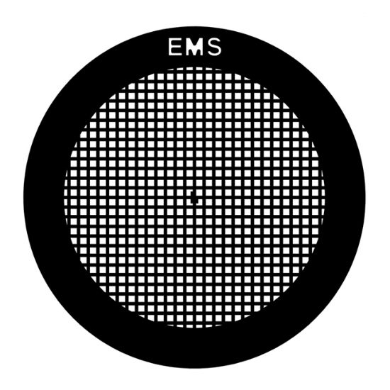 Picture of EMS Grid 300 Mesh, Square, Ni