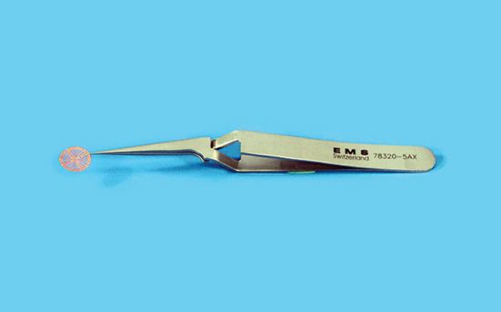 Picture of Tweezers Style 5AX