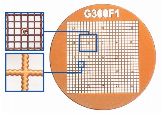 Picture of Finder, 300 Mesh F1, Nickel
